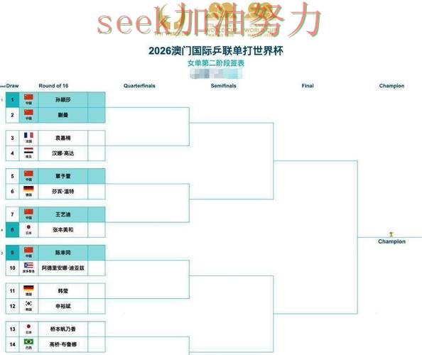 世界杯竞猜网站哪个好？围绕数据分析+直播体验做一次整理（世界杯高清直播）